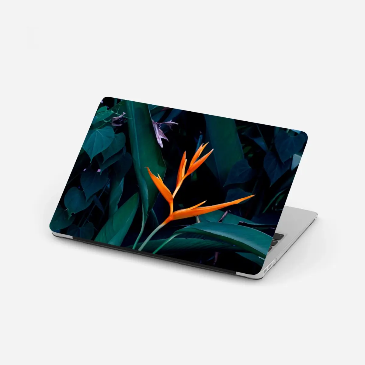 Laptop-Aufkleber leuchtende strelitzie vor tiefgrünen blättern – Wallnifity®