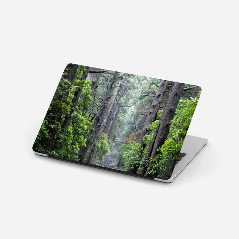 Laptop-Aufkleber mystischer waldweg zwischen alten bäumen