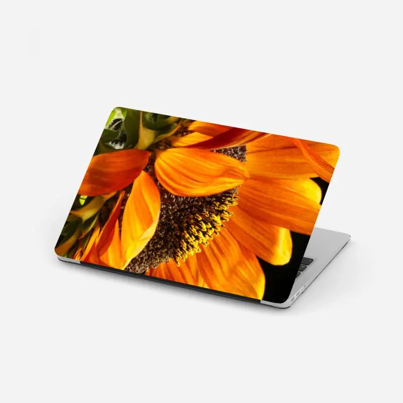 Biophil – Wallnifity®