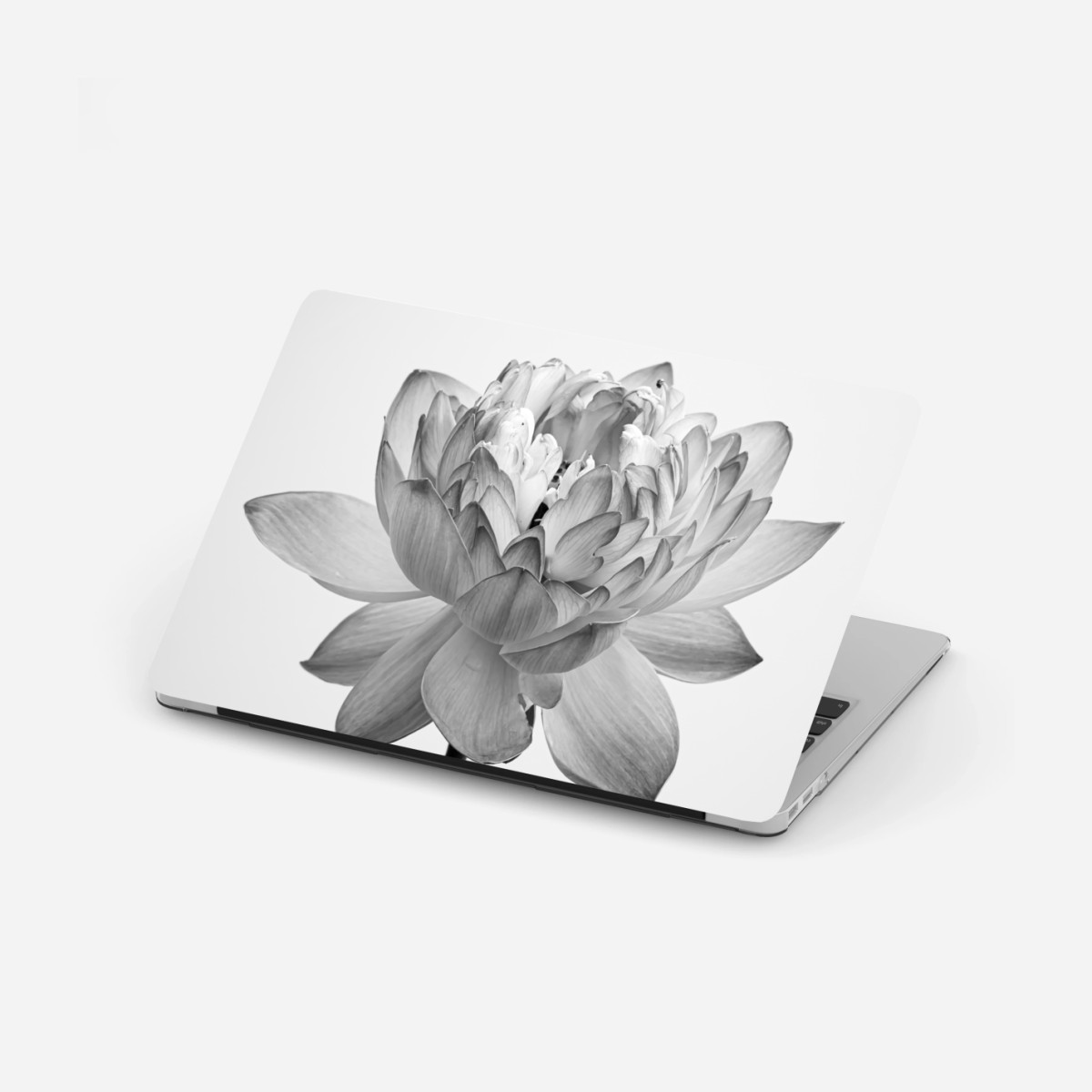 Laptop-Aufkleber ruhevoller lotus in graustufen – Wallnifity®