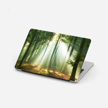 Laptop-Aufkleber morgendliches licht im wald – Wallnifity®