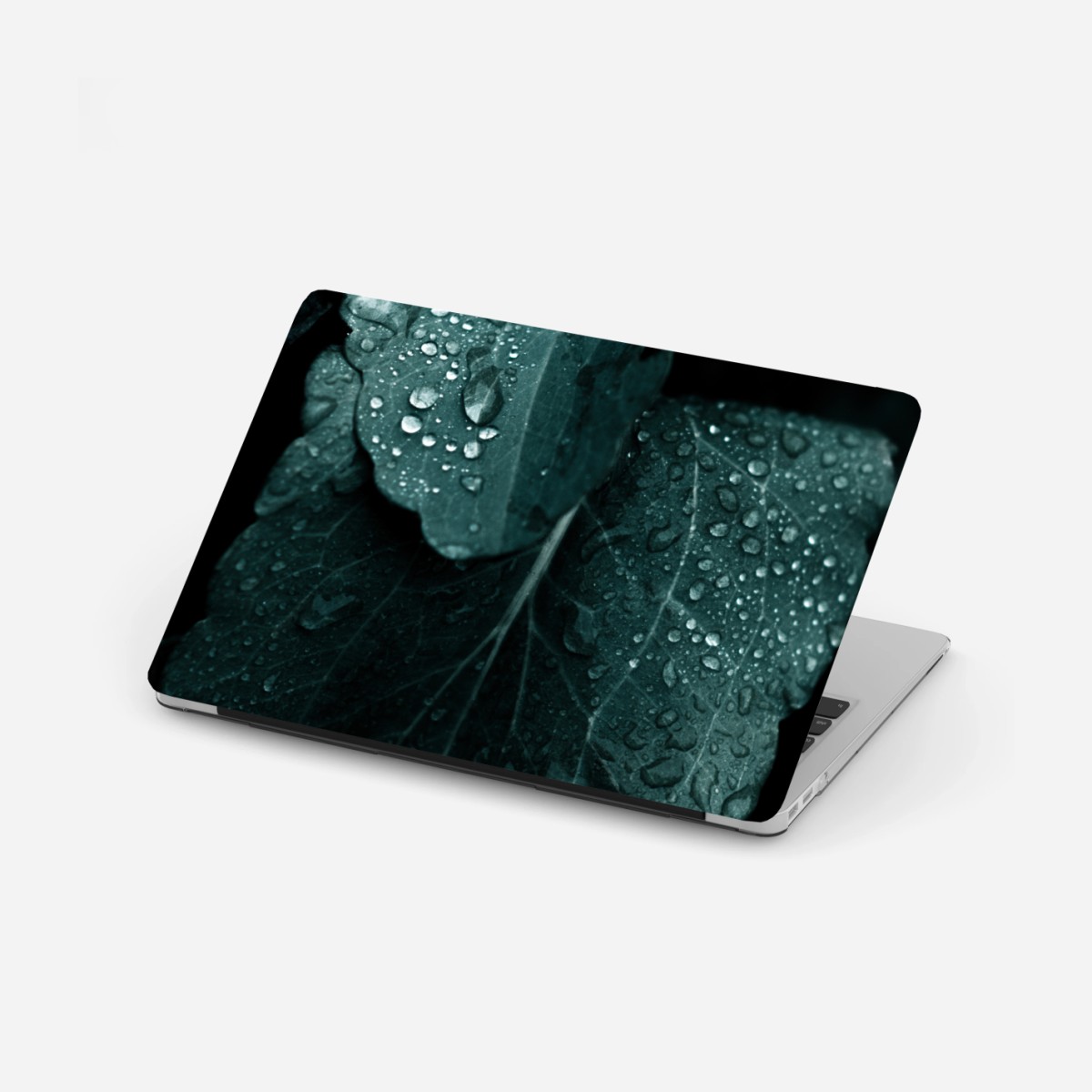 Laptop-Aufkleber tautropfen auf blättern – Wallnifity®