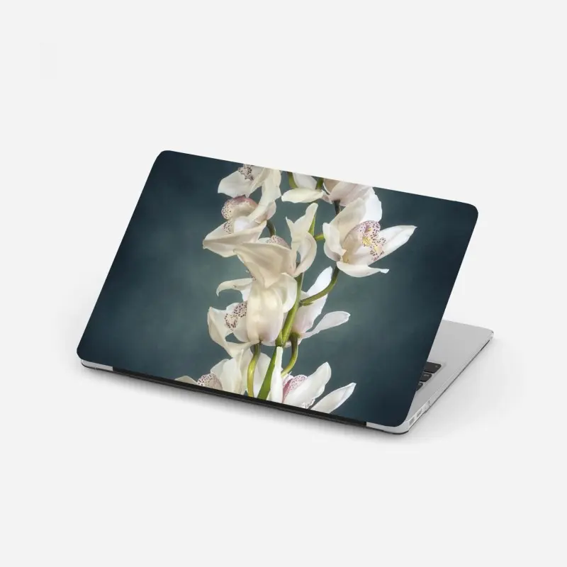 Laptop-Aufkleber zarte weiße orchideen vor gedämpftem hintergrund