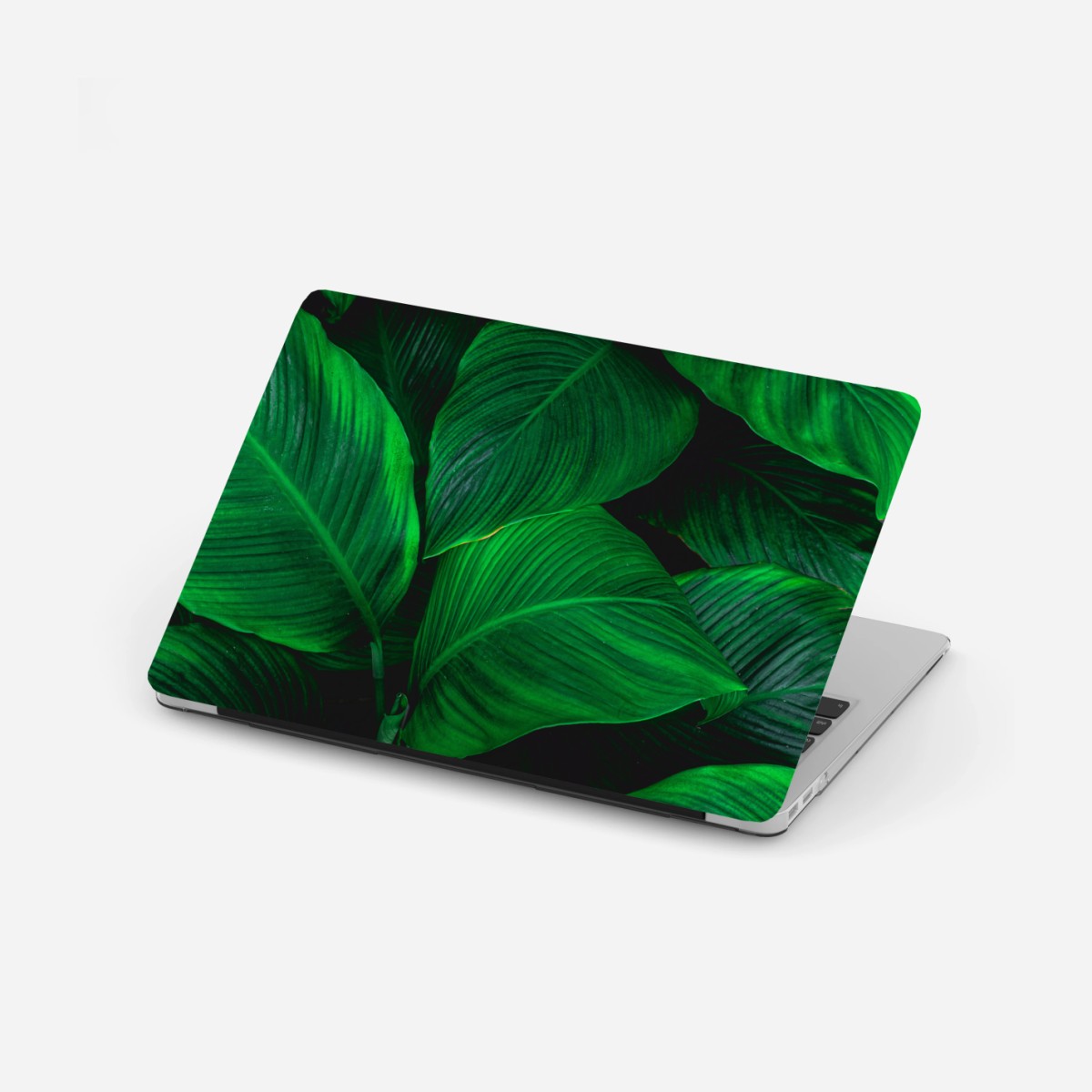 Laptop-Aufkleber üppige tropische blätter – Wallnifity®