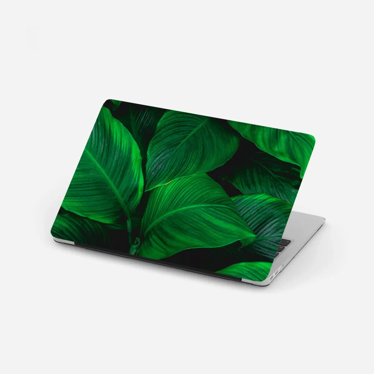 Laptop-Aufkleber üppige tropische blätter – Wallnifity®