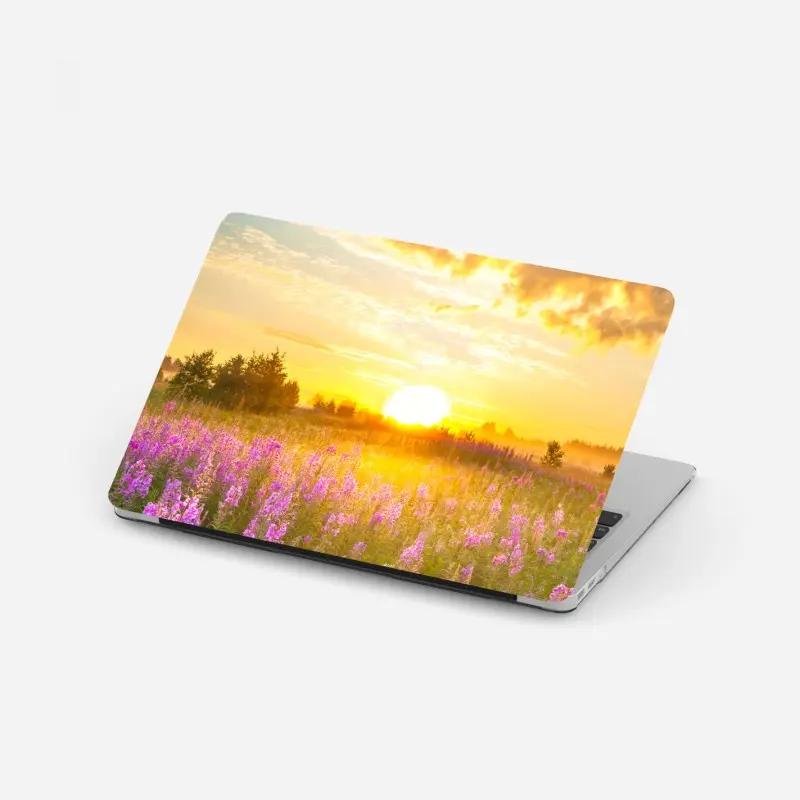 Wiesen – Wallnifity®
