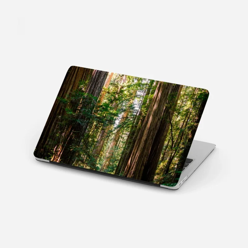 Wälder – Wallnifity®