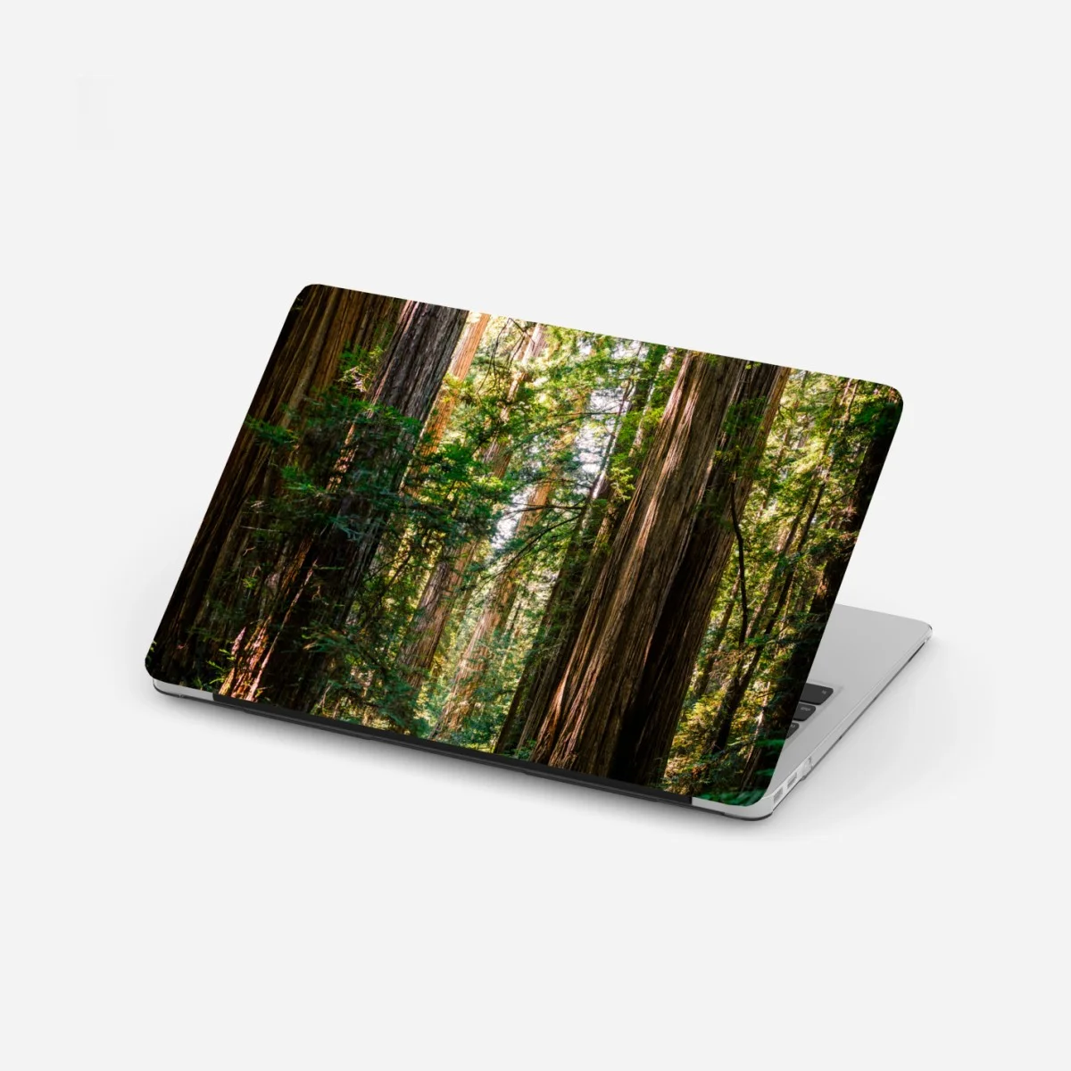 Laptop-Aufkleber majestätischer weg im sekwoienwald – Wallnifity® Laptop-Aufkleber majestätischer weg im sekwoienwald – Wallnifity®