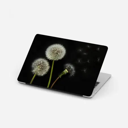 Laptop-Aufkleber zarte löwenzahnköpfe vor schwarzem hintergrund – Wallnifity®