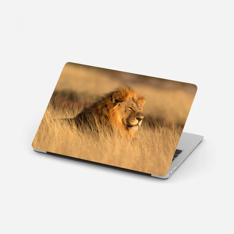 Wildtiere – Wallnifity®