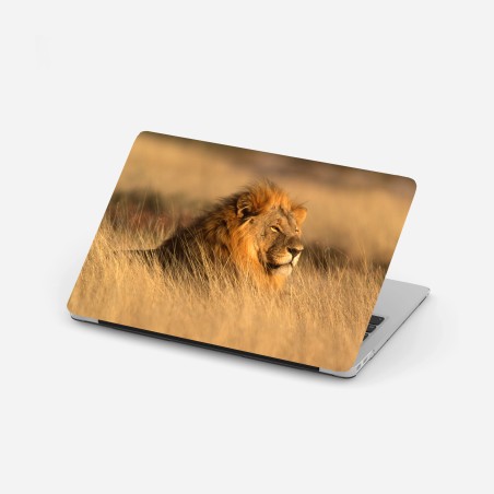 Laptop-Aufkleber majestätischer löwe im hohen gras – Wallnifity®