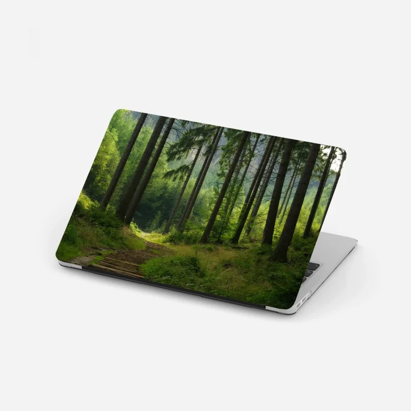 Wälder – Wallnifity®