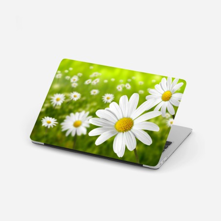 Laptop-Aufkleber weiße gänseblümchen auf der wiese – Wallnifity®