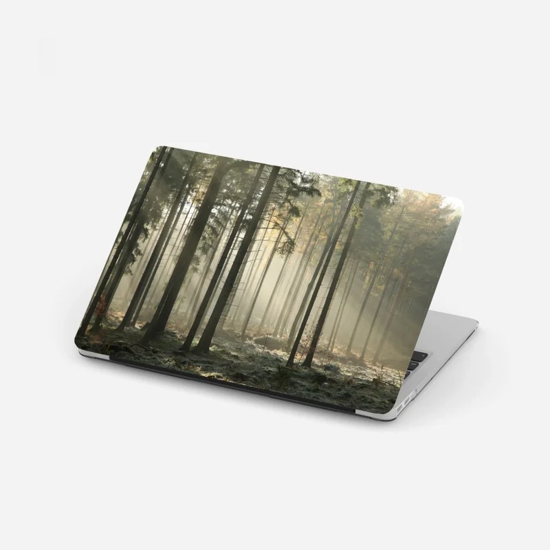 Wälder – Wallnifity®