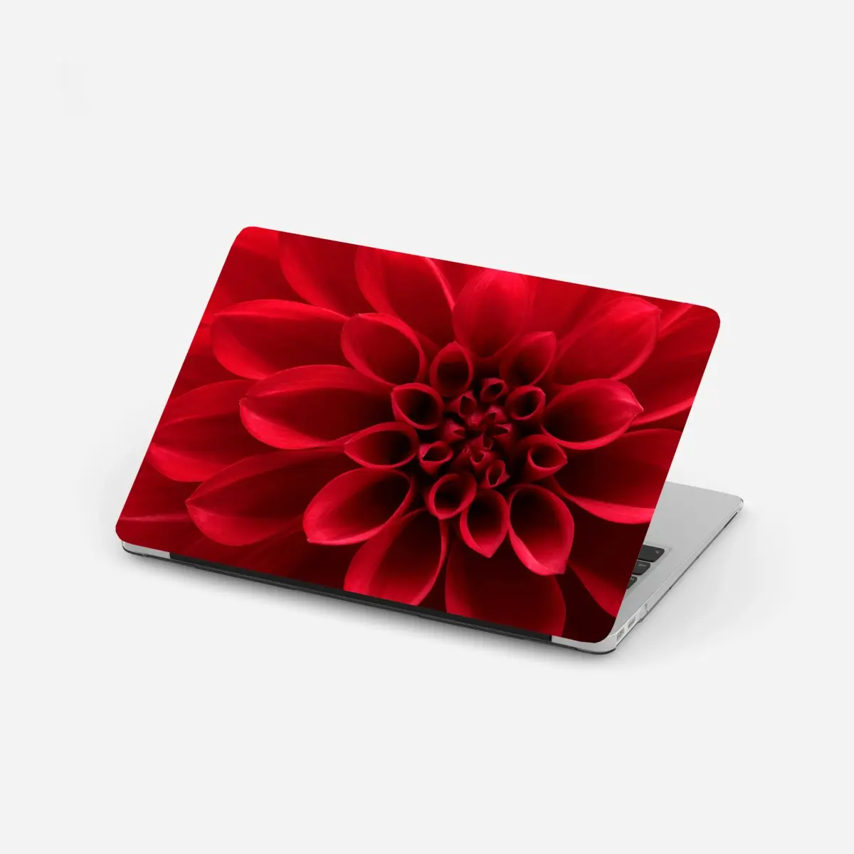 Laptop-Aufkleber nahaufnahme einer roten dahlie – Wallnifity®