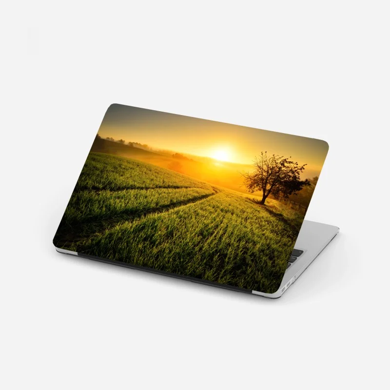 Wiesen – Wallnifity®