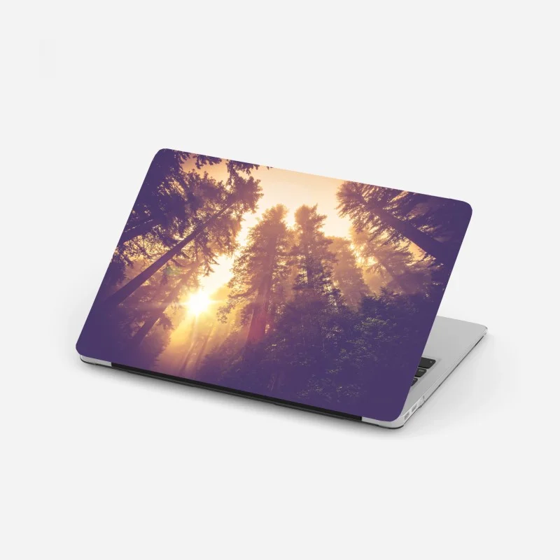 Wälder – Wallnifity®