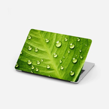 Laptop-Aufkleber frisches grünes blatt mit wassertropfen – Wallnifity®