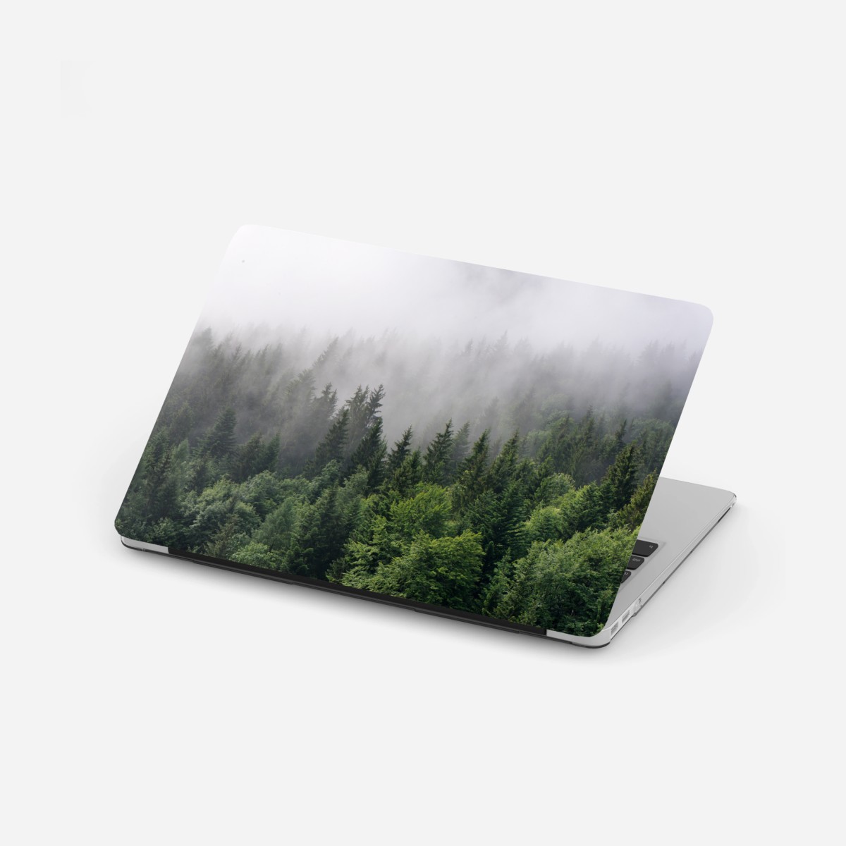 Laptop-Aufkleber nebliger immergrüner wald panorama – Wallnifity®