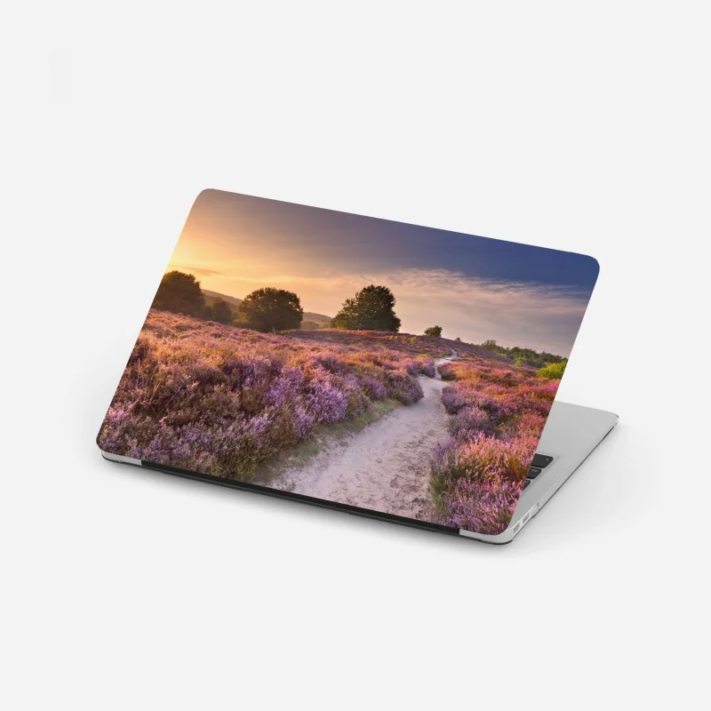 Wiesen – Wallnifity®