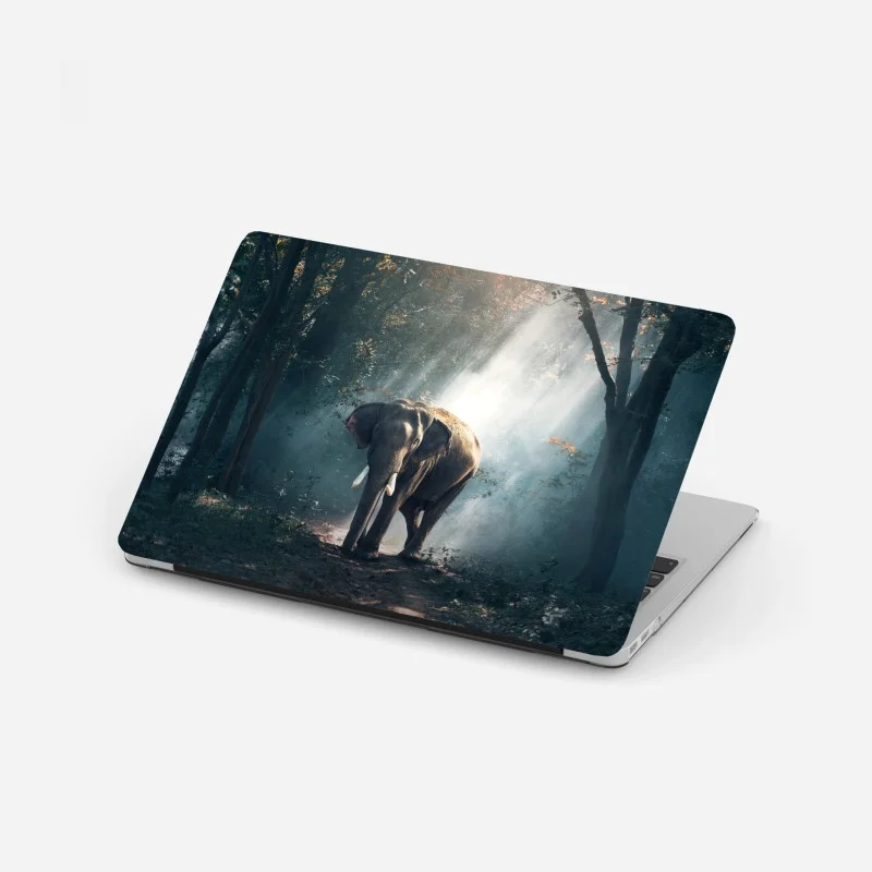Wildtiere – Wallnifity®