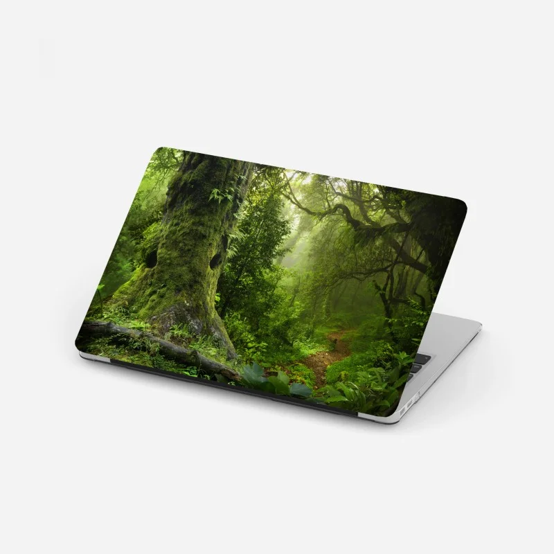 Wälder – Wallnifity®