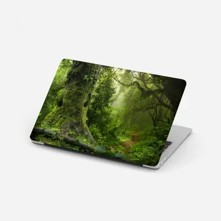 Laptop-Aufkleber moosiger alter waldpfad – Wallnifity®
