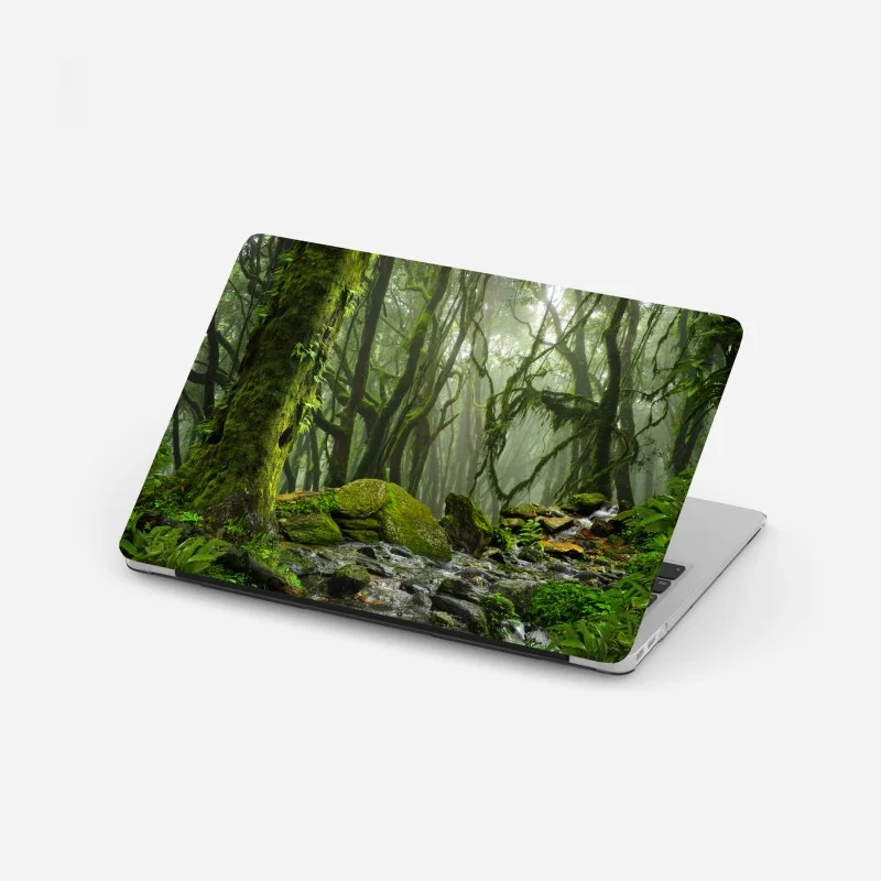 Laptop-Aufkleber moosiger wald mit bach im nebel