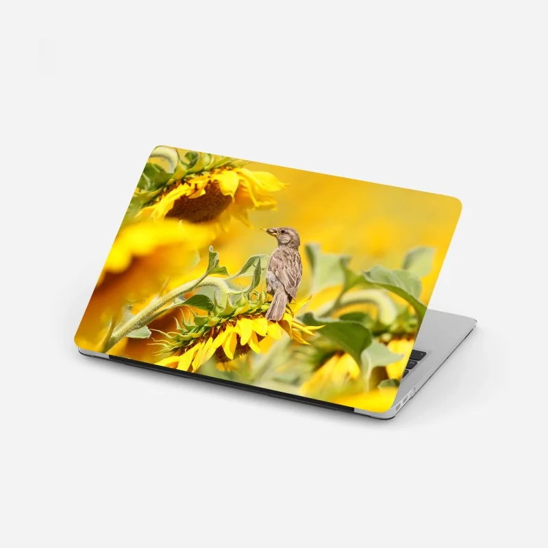 Vögel – Wallnifity®