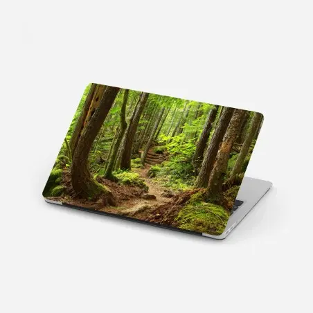 Laptop-Aufkleber moosiger waldpfad – Wallnifity®
