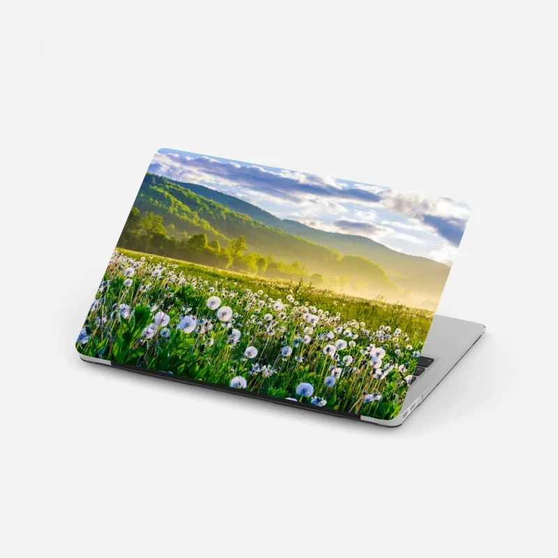 Wiesen – Wallnifity®