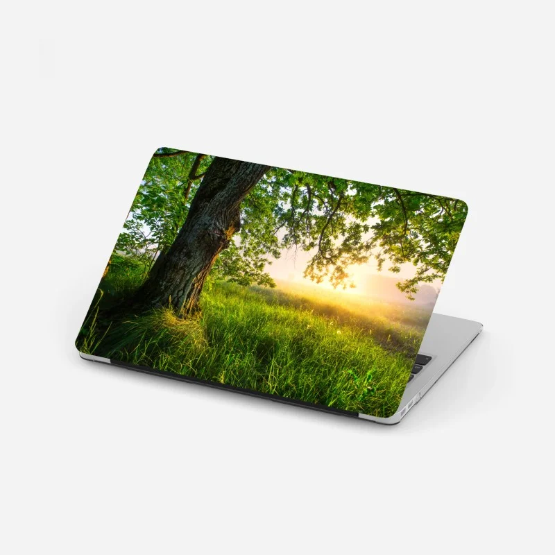 Natur – Wallnifity®