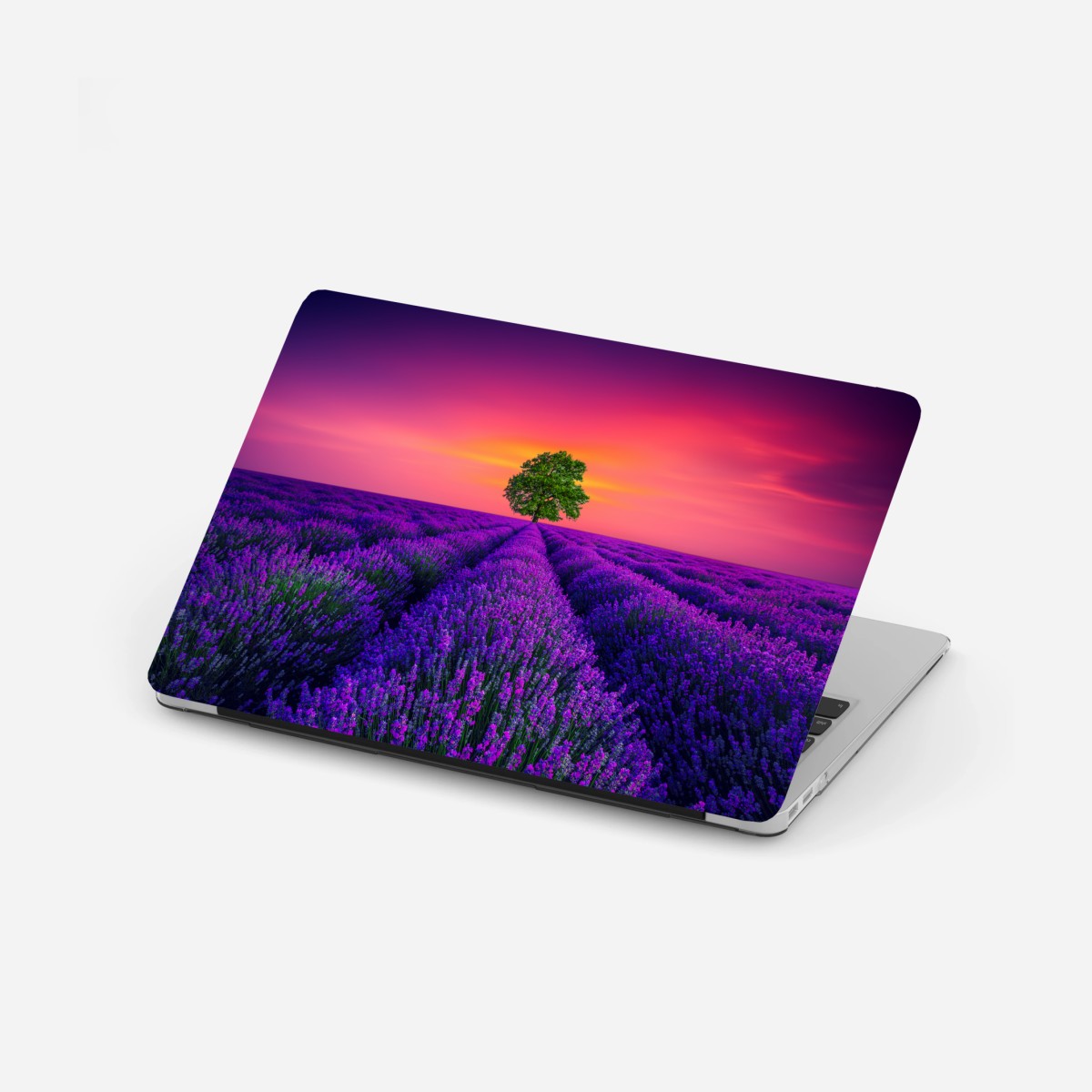 Laptop-Aufkleber lavendelfeld bei sonnenuntergang mit einsamem baum – Wallnifity®