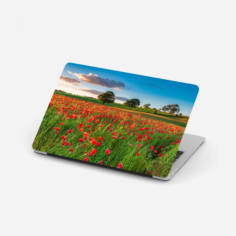 Biophil – Wallnifity®