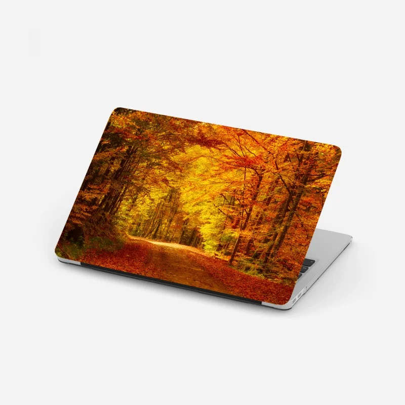 Wälder – Wallnifity®