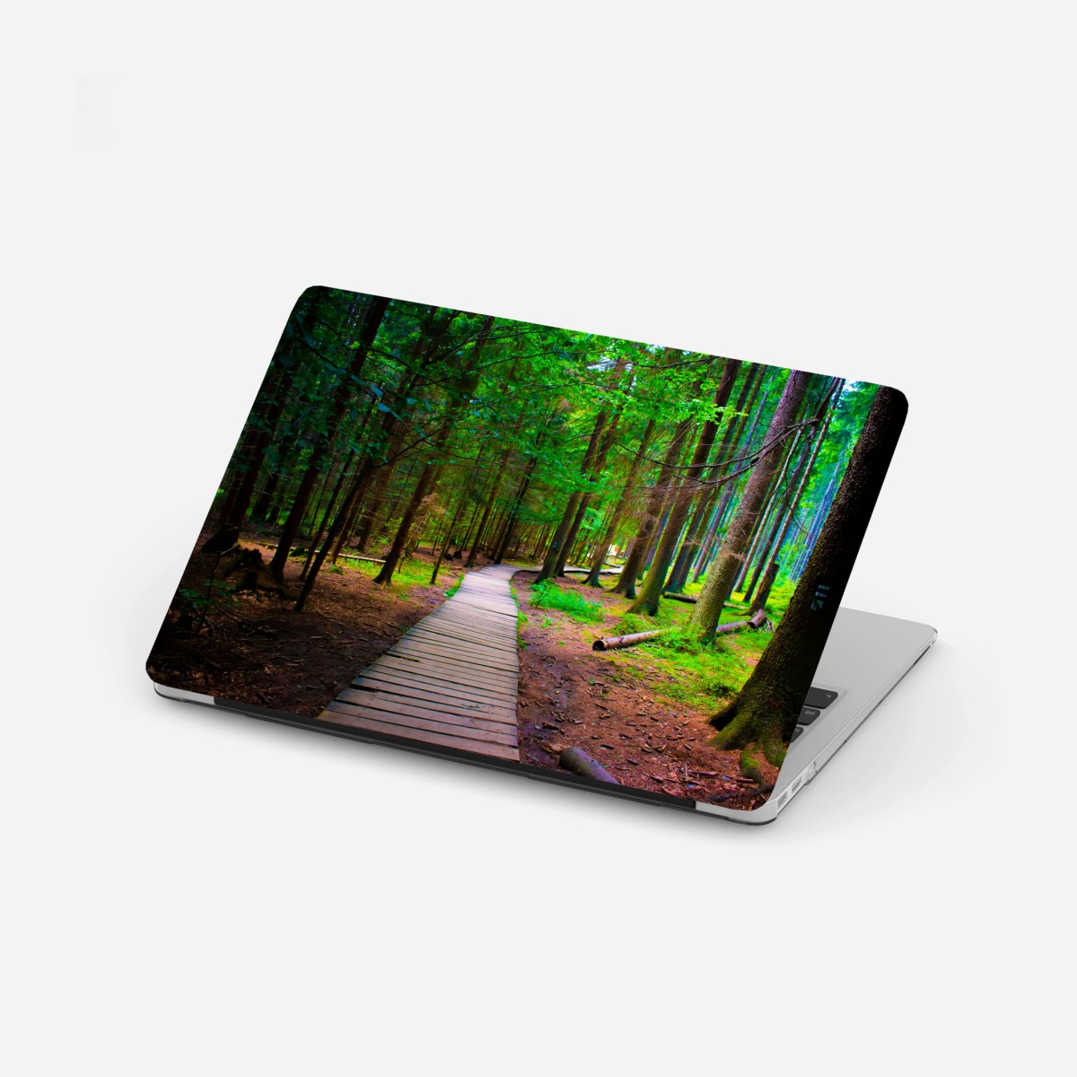 Laptop-Aufkleber ruhiger waldsteg im grünen – Wallnifity®