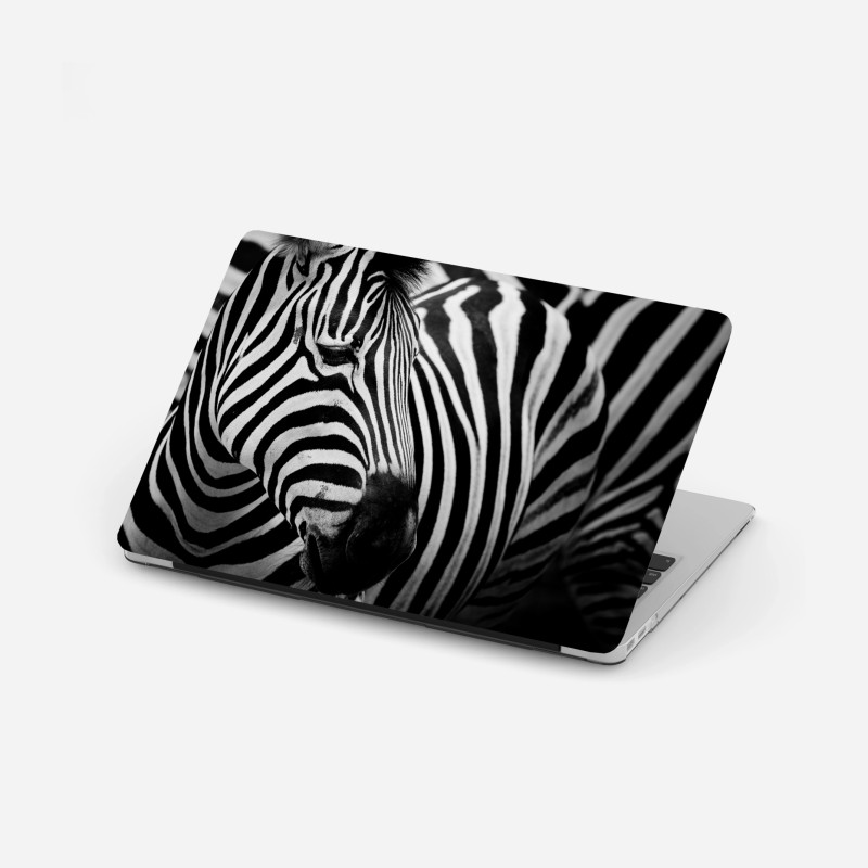 Minimalistisch – Wallnifity®
