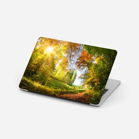 Laptop-Aufkleber goldener herbstwaldweg – Wallnifity®
