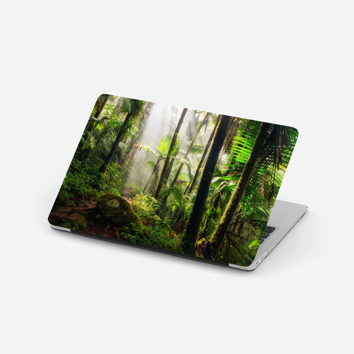 Laptop-Aufkleber tropischer regenwald mit sonnenstrahlen – Wallnifity®
