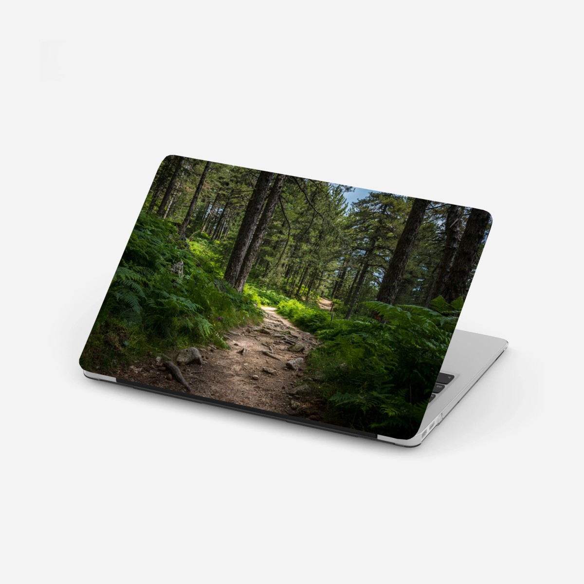 Laptop-Aufkleber ruhiger waldpfad durch üppiges grün – Wallnifity®
