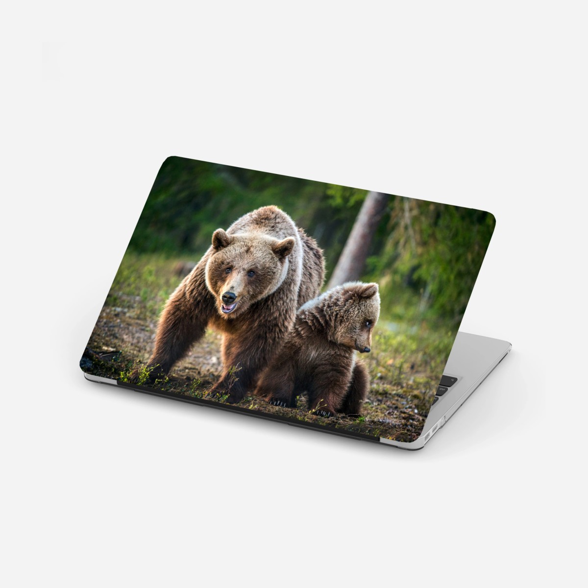 Laptop-Aufkleber braunbär mit jungem im wald – Wallnifity®