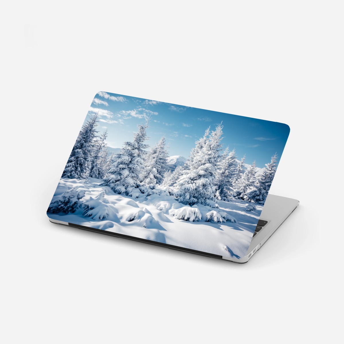 Laptop-Aufkleber winterruhe in den Karpaten – Wallnifity®