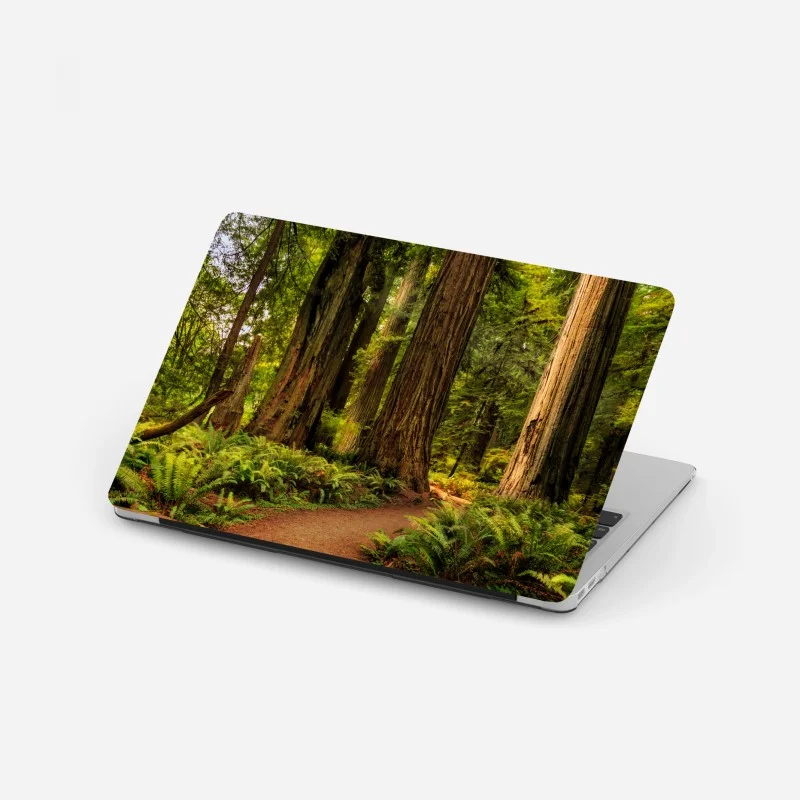 Wälder – Wallnifity®