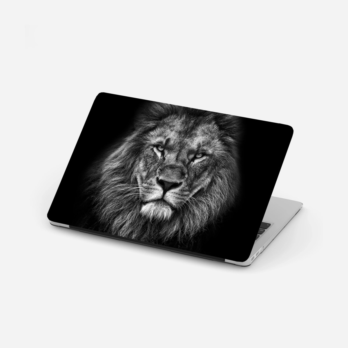 Laptop-Aufkleber majestätisches löwenportrait in monochrom – Wallnifity®