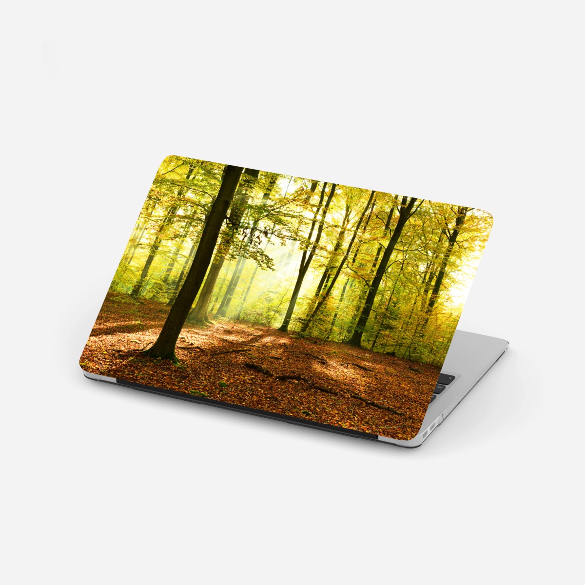 Laptop-Aufkleber goldener herbstwald am morgen – Wallnifity®