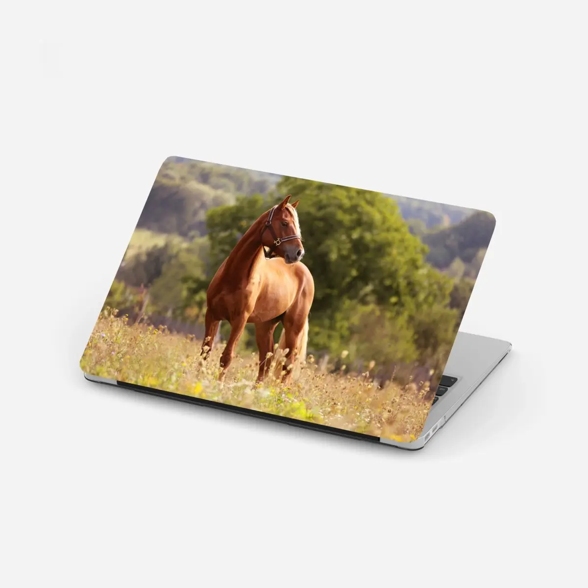 Laptop-Aufkleber majestätisches kastanienbraunes pferd auf sommerlicher wiese – Wallnifity® Laptop-Aufkleber majestätisches kastanienbraunes pferd auf sommerlicher wiese – Wallnifity®