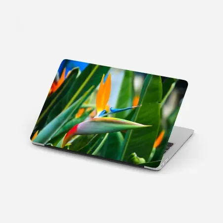 Laptop-Aufkleber leuchtende paradiesvogelblume – Wallnifity®