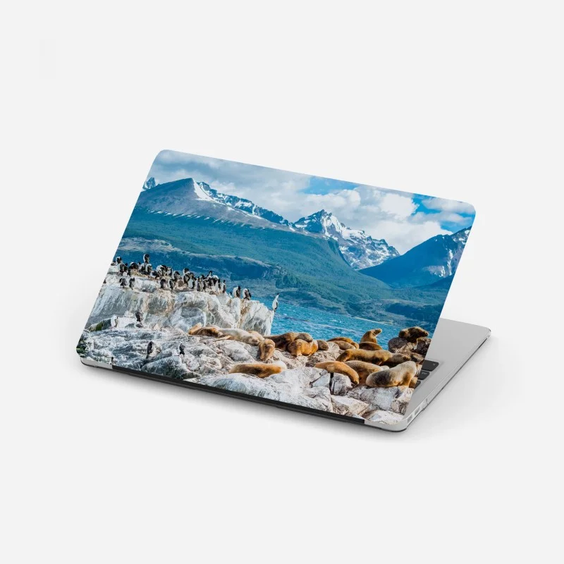 Meerestiere – Wallnifity®