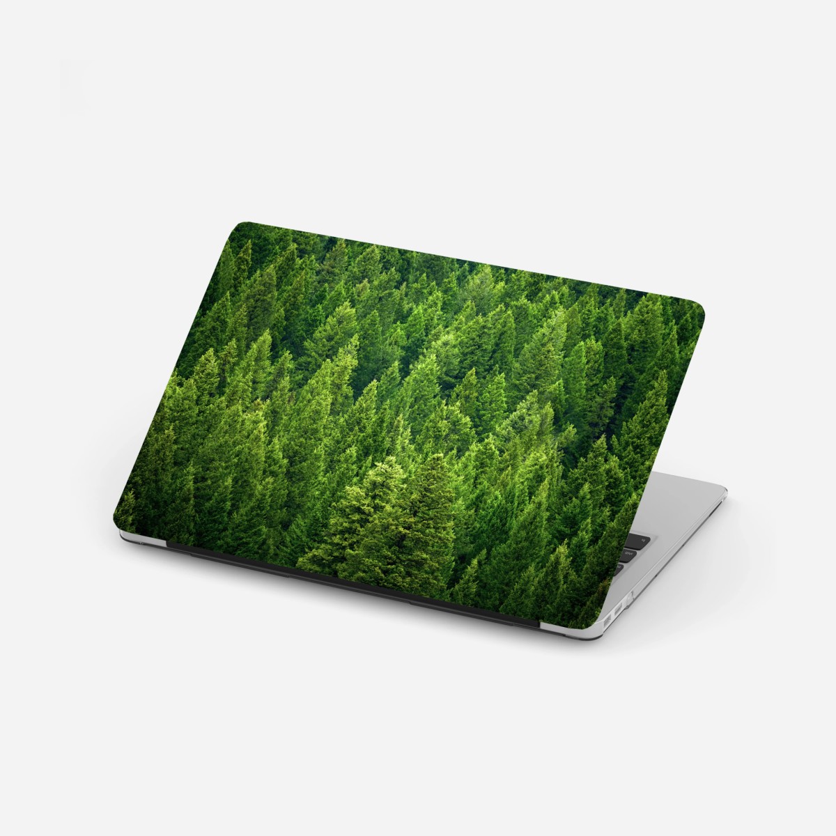 Laptop-Aufkleber üppige kronen eines kieferwaldes – Wallnifity®