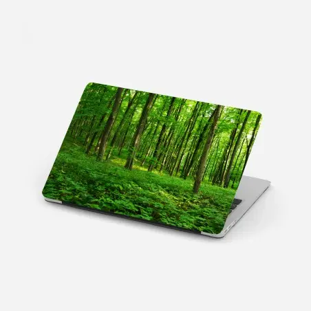 Laptop-Aufkleber sonniger grüner wald im frühling – Wallnifity®